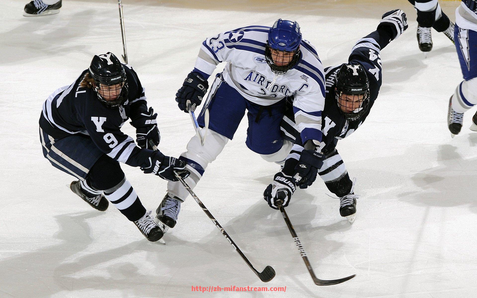 秘饭直播-健身器材后背顶球功能讲解与使用技巧建议